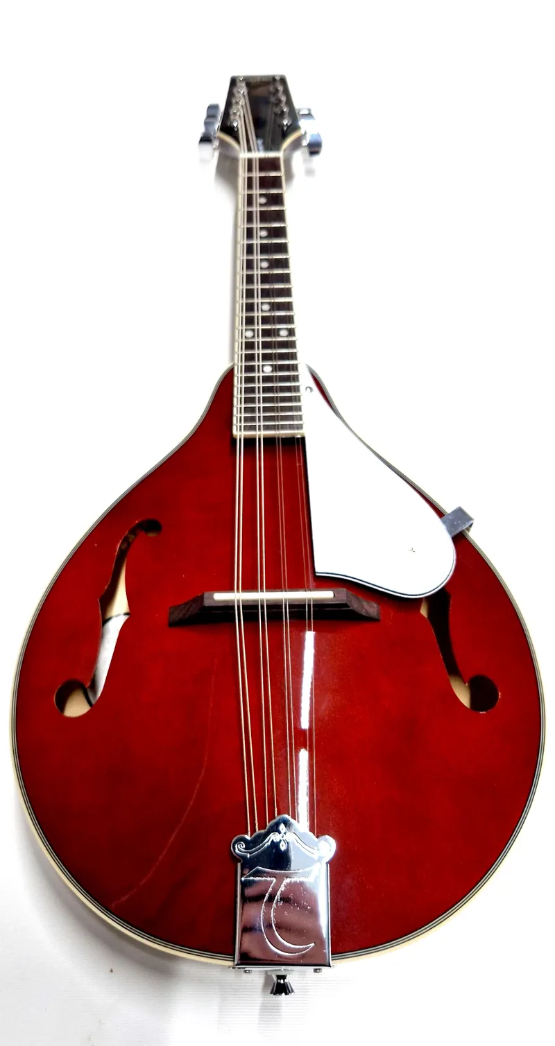 Tanglewood Union Series Teardrop Mandolin Wine Red-2
