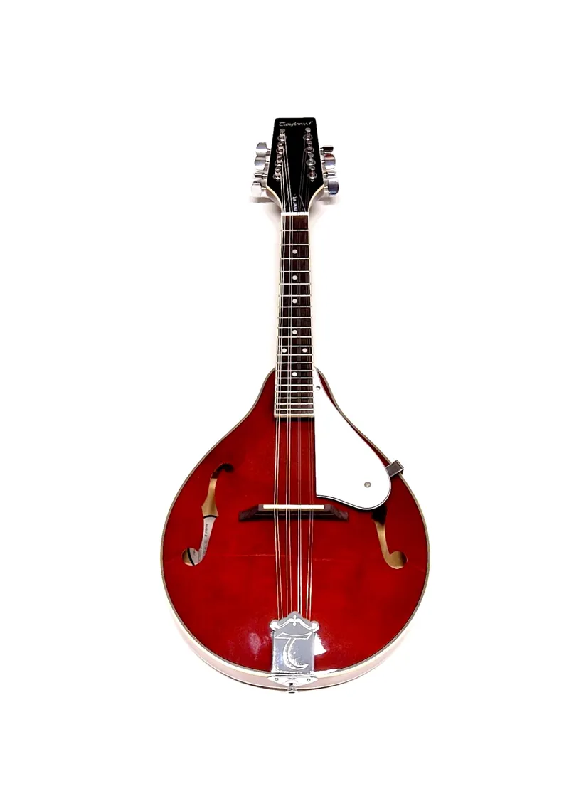 Tanglewood Union Series Teardrop Mandolin Wine Red