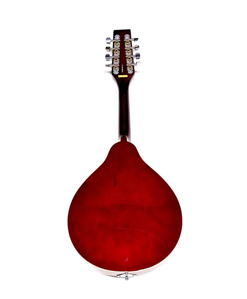 Tanglewood Union Series Teardrop Mandolin Wine Red-1