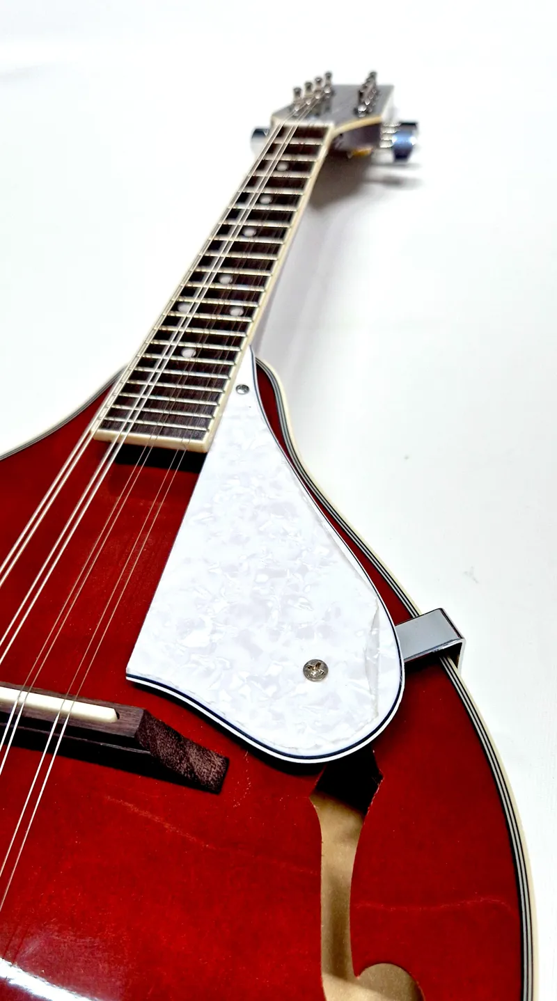 Tanglewood Union Series Teardrop Mandolin Wine Red-3