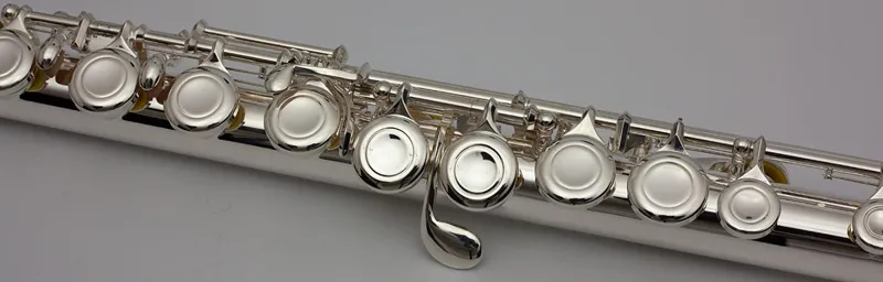 Trevor James TJ5X Student Flute Outfit-1