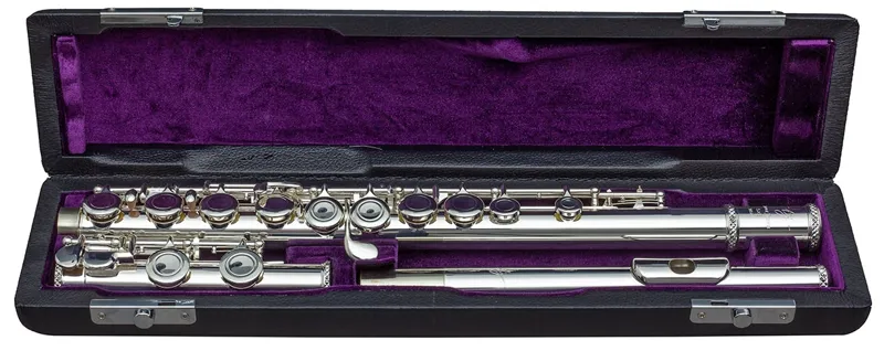 Trevor James TJ5X Student Flute Outfit-3