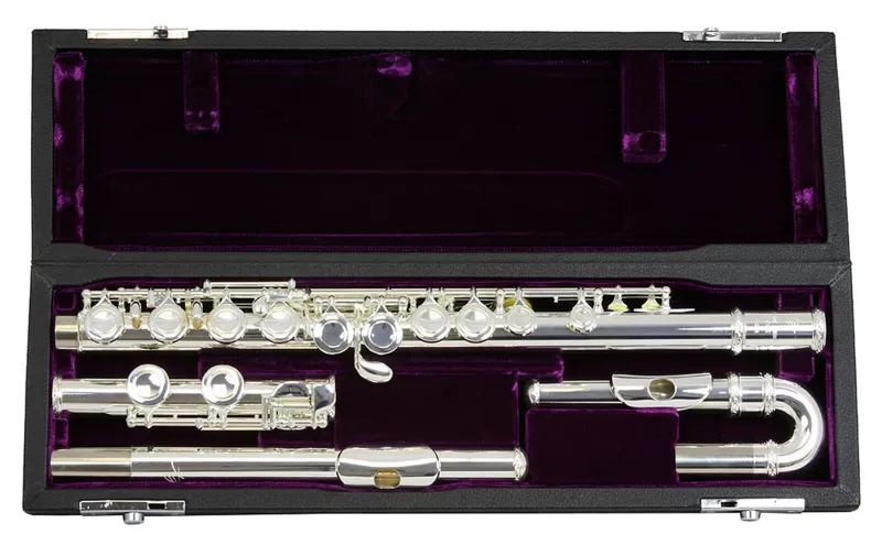 Trevor James 10X Flute Outfit - Curved and Straight Heads-6