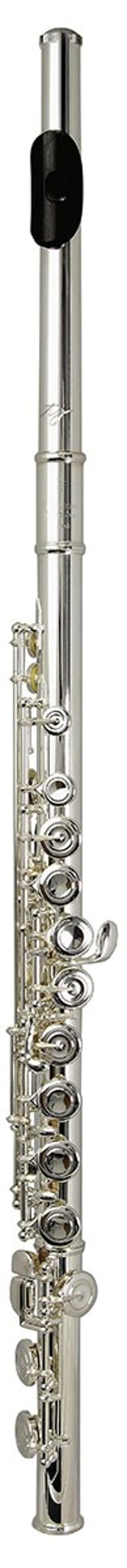 Trevor James Chanson Flute Outfit - Straight Head-2