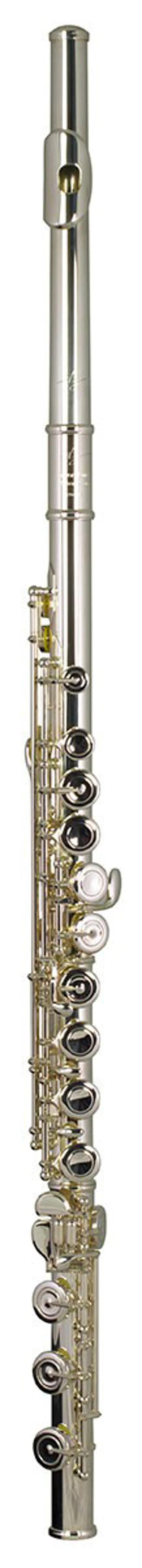 Trevor James Privilege Flute Outfit - Straight Head-1