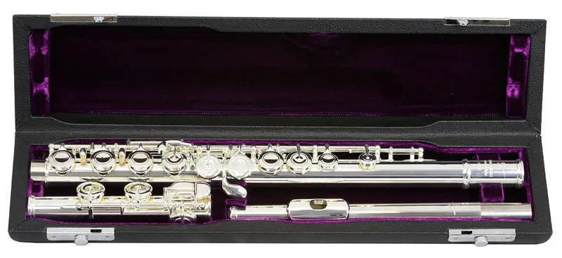 Trevor James Privilege Flute Outfit - Straight Head-2