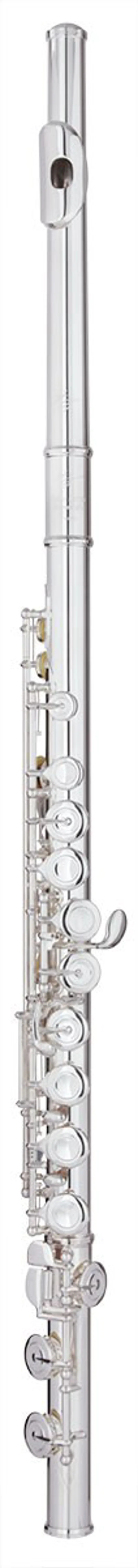 Trevor James Virtuoso Flute Outfit - Straight Head