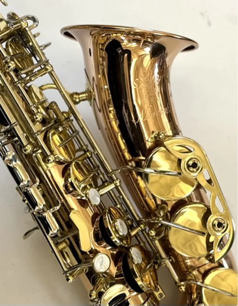 Pre Owned Hanson 'Monarch' Alto Saxophone - Bronze Body-2