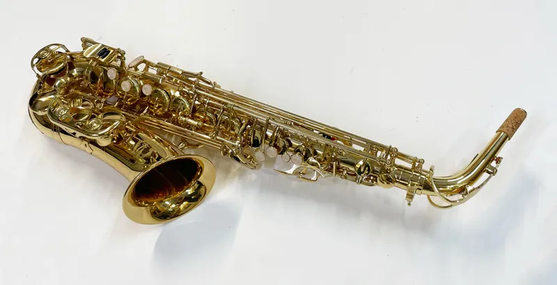 Artemis A1 Alto Sax Outfit - Gold Lacquer-3