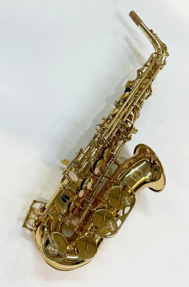 Artemis A1 Alto Sax Outfit - Gold Lacquer-2