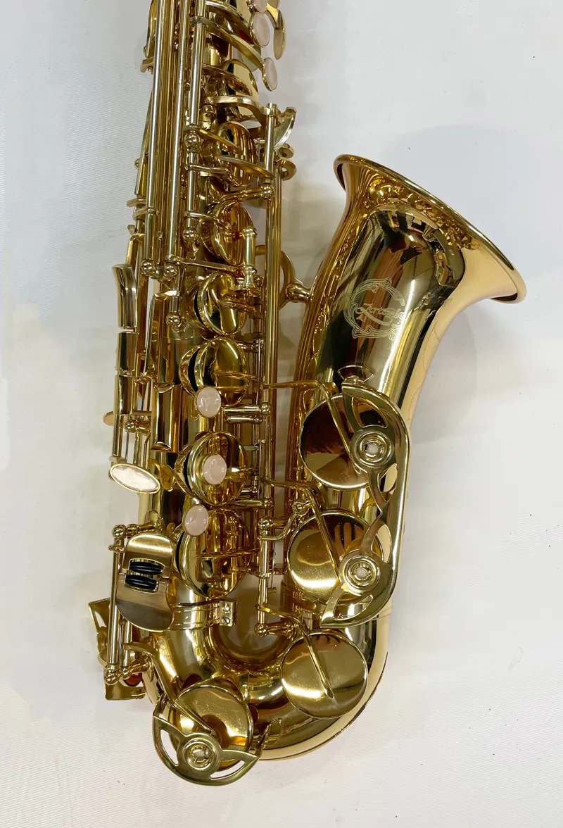 Artemis A1 Alto Sax Outfit - Gold Lacquer-1