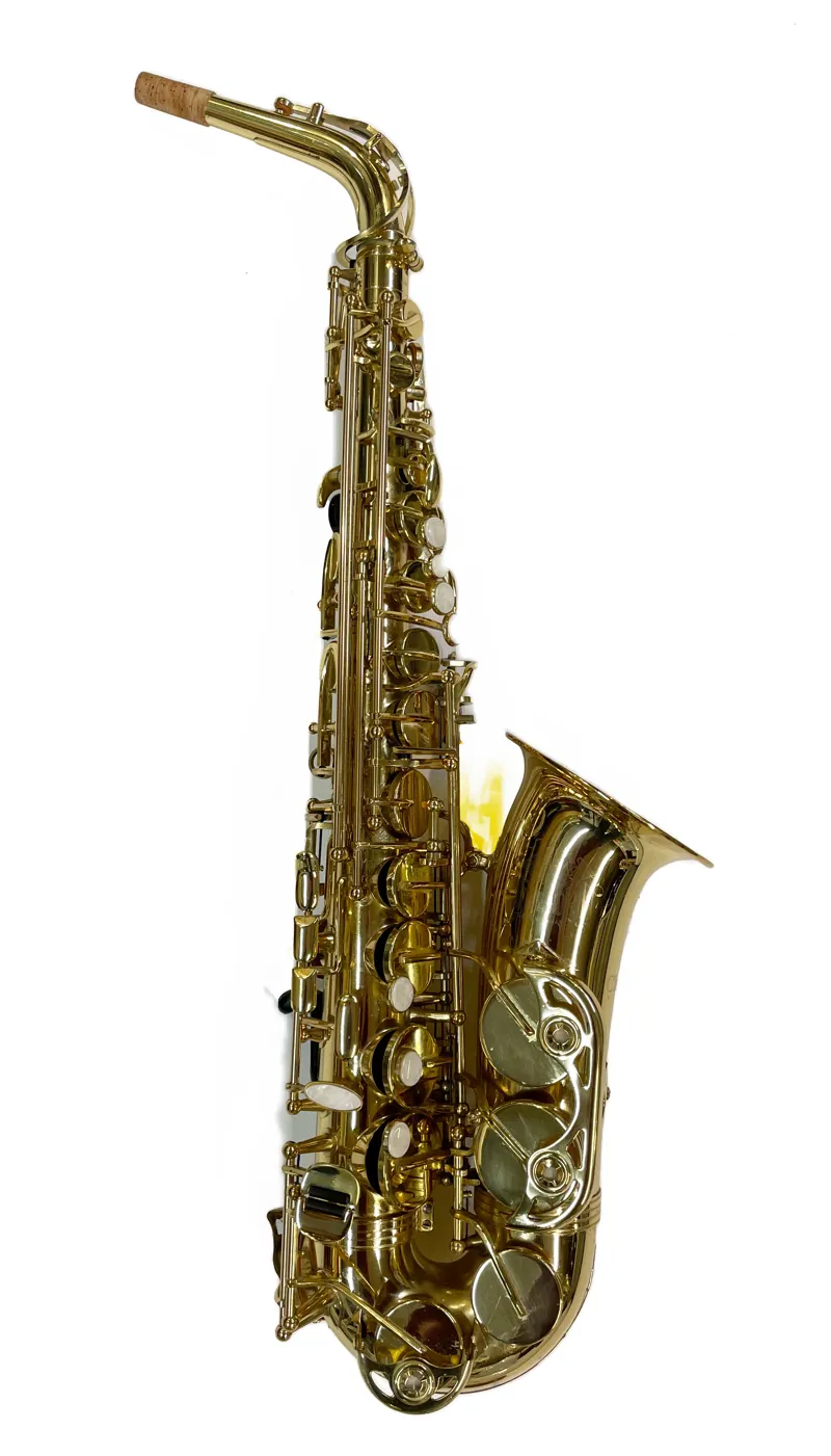 Saxophone horn new arrivals