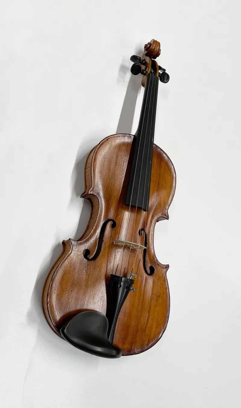 Secondhand Violin-4