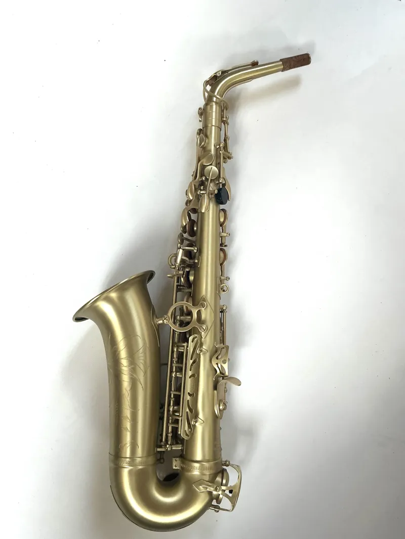 Hanson Series VIII Alto Saxophone in Vintage finish-2