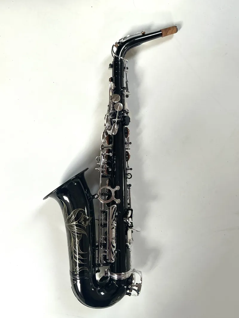 Hanson Series VIII Alto Saxophone Black Body Silver keys-1