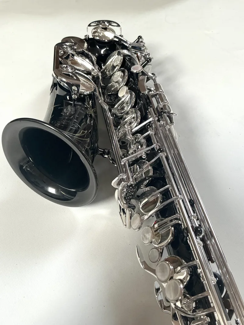 Hanson Series VIII Alto Saxophone Black Body Silver keys-3