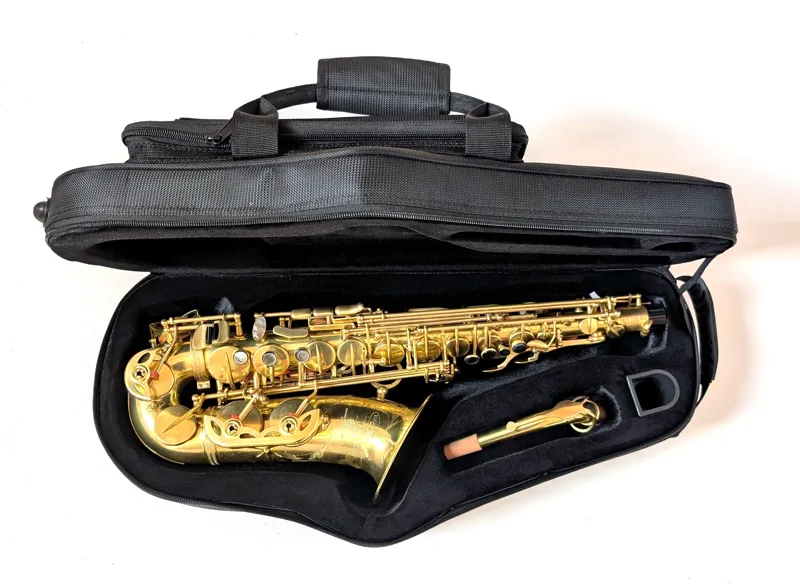 Hanson Series V Alto Saxophone in Raw Brass-3