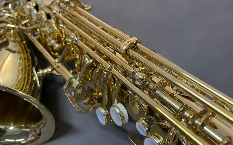 Yanagisawa AWO10U Alto Saxophone - Unlacquered Brass-1