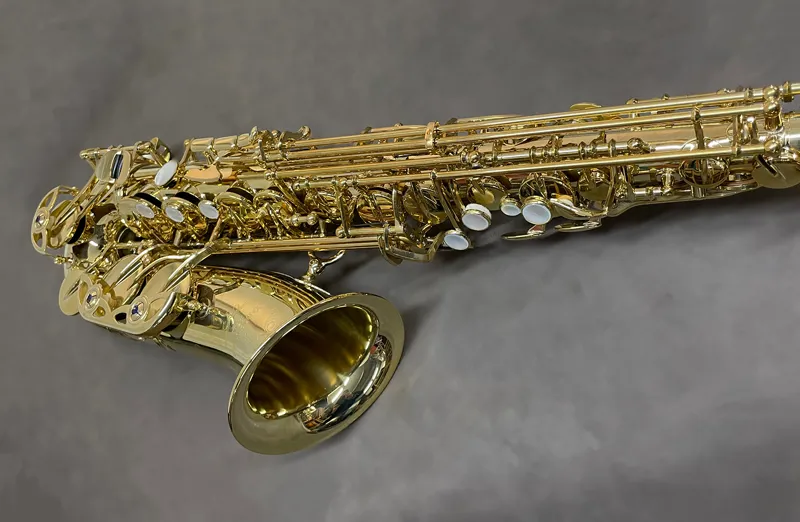 Yanagisawa AWO10U Alto Saxophone - Unlacquered Brass-2