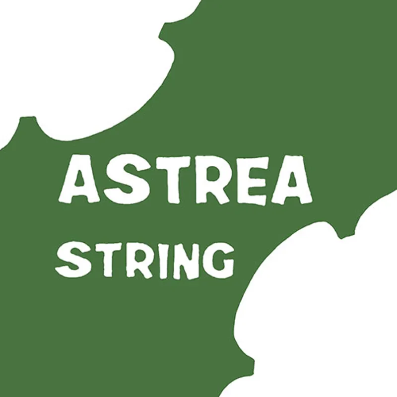 Astrea Violin D String - 4/4 Size