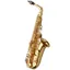 Yanagisawa AWO1 Alto Saxophone - Gold Lacquer