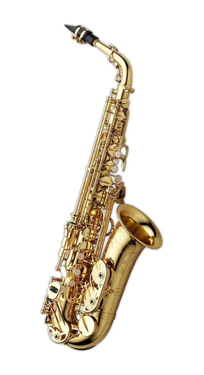 Yanagisawa AWO10 Alto Saxophone - Gold Lacquer