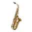 Yanagisawa AWO10 Alto Saxophone - Gold Lacquer