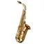 Yanagisawa AWO20 Alto Saxophone - Bronze