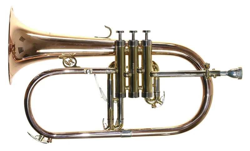 Trevor James 6500 Renaissance Flugel Horn - Lacquer