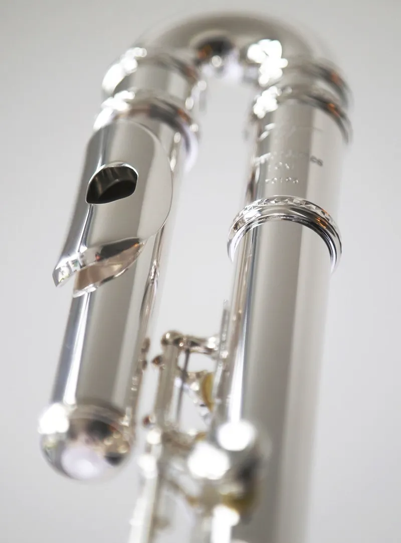 Trevor James 10X Flute Outfit - Curved and Straight Heads-2
