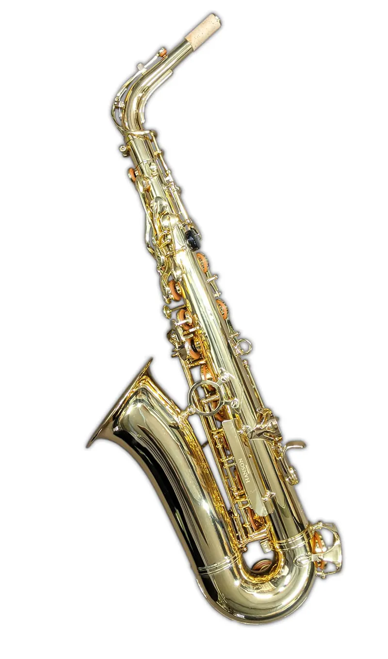 Hanson Student Alto Saxophone outfit-2