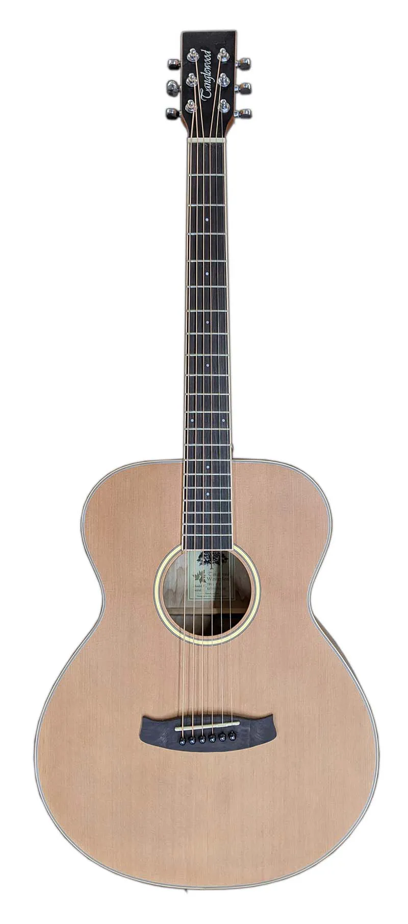 Tanglewood tw11 shop