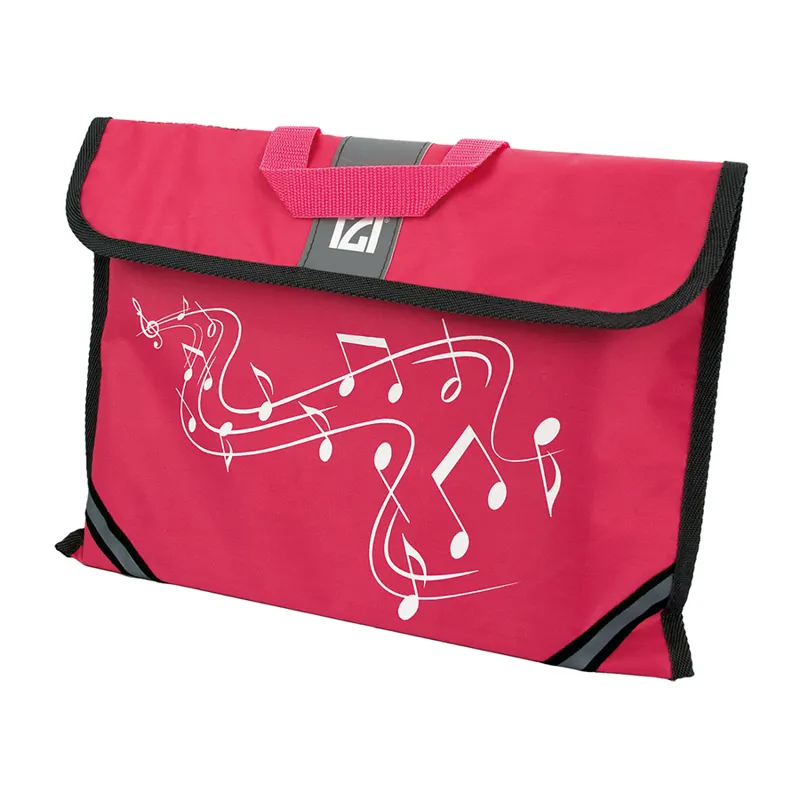 TGI Music Carrier Pink