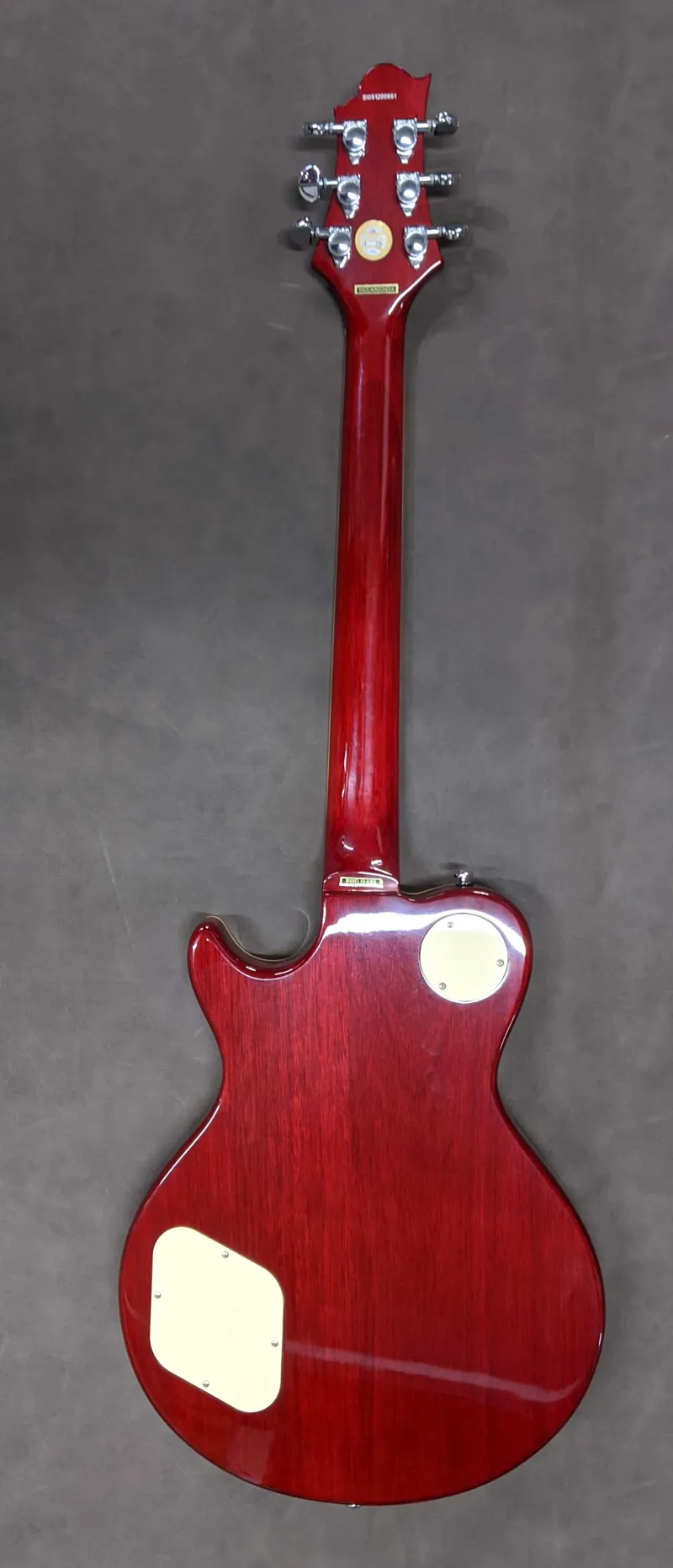 Greg Bennet Avion AV-5/WR Electric Guitar-1