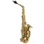 Trevor James SR Alto Sax Outfit - Gold Lacquer