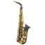 Trevor James SR Alto Sax Outfit - Black with Gold Lacquer Keys