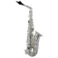 Trevor James SR Alto Sax Outfit - Silver Plated