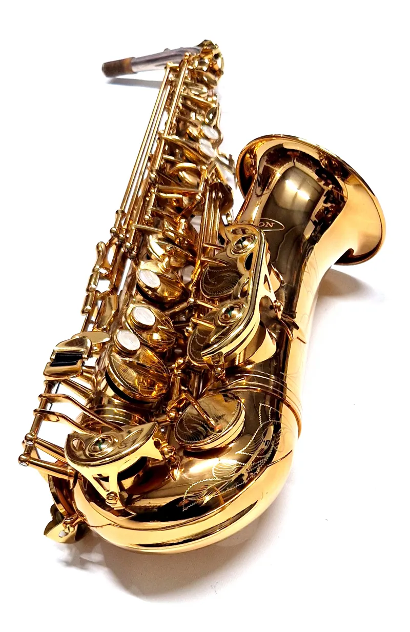 Ex-exhibition item : SA8 alto saxophone made with a gold brass body and silver wrap neck-2